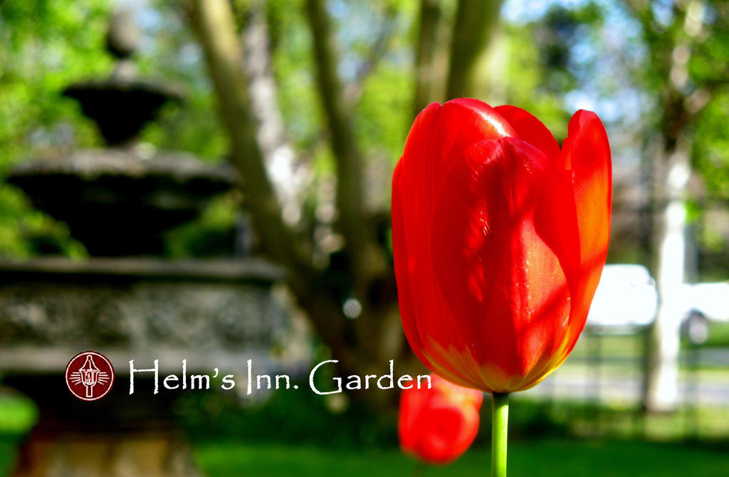 Helm'S Inn Victoria Zewnętrze zdjęcie